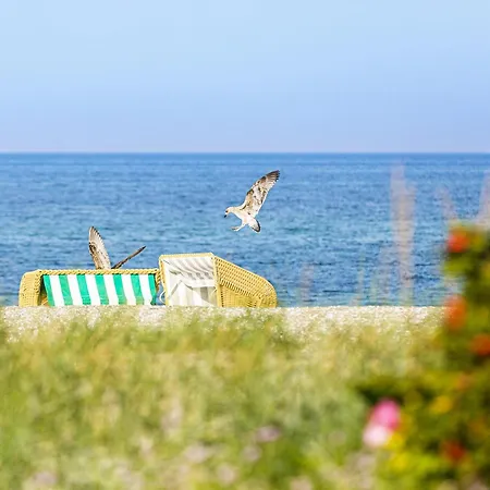 Moderne 5 Sterne Strandlilie Apartment *